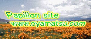 oyamatsu.jpg (16457 �o�C�g)